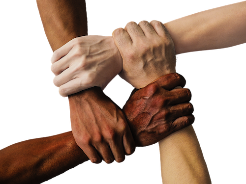 The Cultural Quotient is cultivated